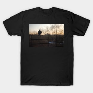 Morning. Peaceful sunrise photo. T-Shirt